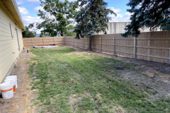 Fence 1