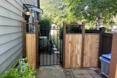 Fence 2